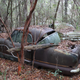 This Nash Mertropolitan rotted gracefully among the giants of the 50"s and 60's that surrounded it.